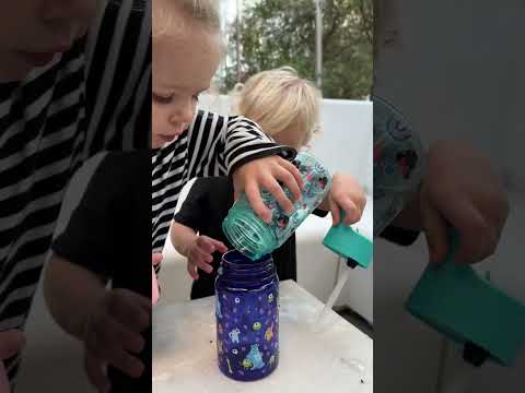Toddler moments: Lion Safari park, walks outside and more