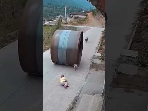 π± Two Dogs vs Giant Roll! Saving the Baby Just in Time πβοΈ#HeroDogs #UnbelievableRescue #reels