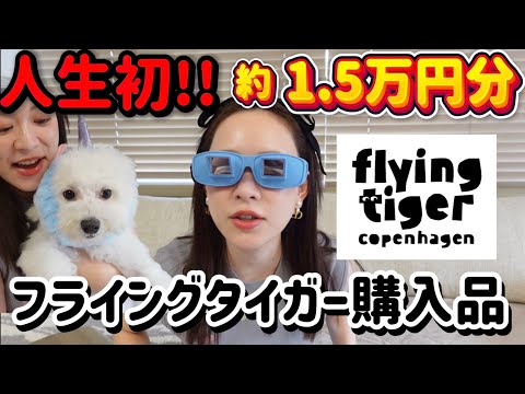初フライングタイガー購入品で大興奮🔥🔥🔥🔥