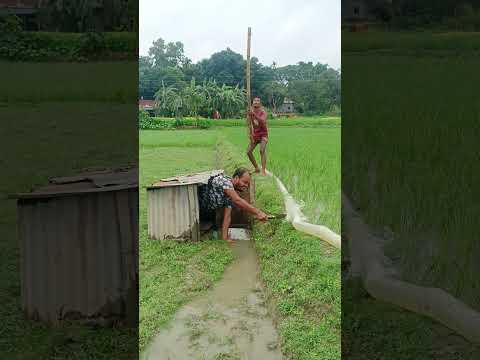 ঘরের ভিতর থেকে কি করে দেখুন 🤣🤣