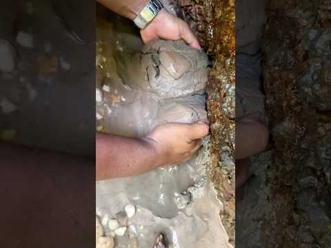 Crazy.,😱‼️discovery of gold dust in inland rivers carried by flash waters. #golddiscovery #goldrush