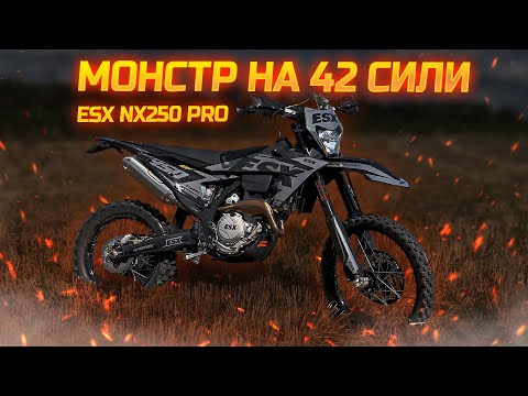 ESX NX250 Pro Base