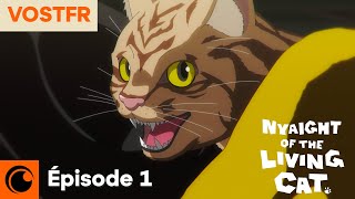 Nyaight of the Living Cat Épisode 1 | Tout est devenu chat