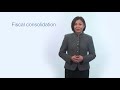 Fiscal Policy and Economic Responses