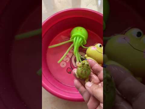 ¡Chintu por fin encontró su casa perdida! 🏠😂🔍 #shorts