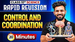 Control and Coordination in 20 Minutes ⚡ | Class 10 Science RAPID REVISION | Akshay Sir