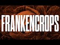 Genetically Modified Foods and Ecosystem