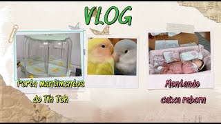 VLOG: Montando caixa reborn/porta mantimentos do tik tok (é bom?)