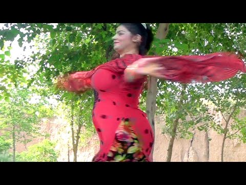 Bushra New Dance | Pashto Dance | بشری پشتو ڈانس