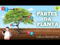 Partes da Planta