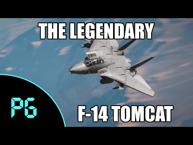 DCS World - F-14B Tomcat - A Legend Reborn!