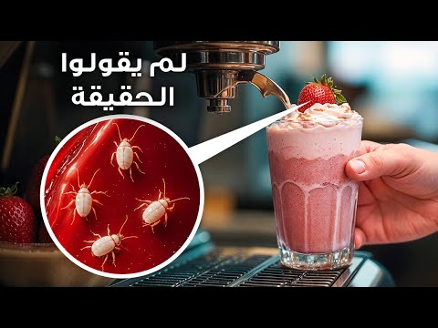 أساطير عشت حياتك كلها تؤمن بها – تم تفنيدها أخيرًا