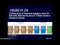 Evolutionary Biology Concepts