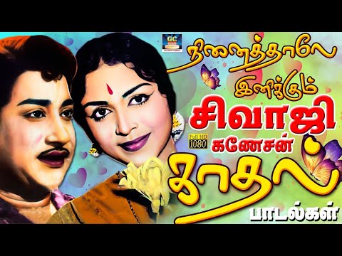நினைத்தாலே இனிக்கும் சிவாஜிகணேசன் காதல் பாடல்கள் | 60s Sivaji Evergreen Love Hits | P.Susheela