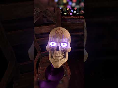Skully Should Know The Drill by Now 😂 : Waltz Of The Wizard