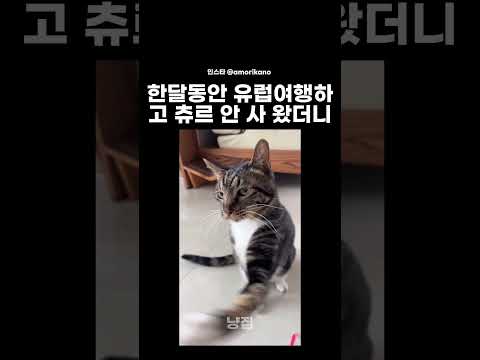 유럽여행하고 맨손으로 왔더니