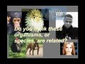 Evolutionary Evidence and Concepts