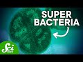Microbial Applications and Properties