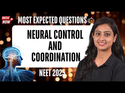 🧠 Neural Control and Coordination | Most expected question | NEET 2025 |  NEET Biology 🧠