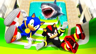 SONIC vs SHADOW Water Ragdolls and Falls in GTA 5!