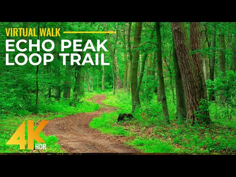 Sunny Day Hike on Echo Peak Loop Trail - 4K HDR Forest Scenery with Real Footsteps Sounds