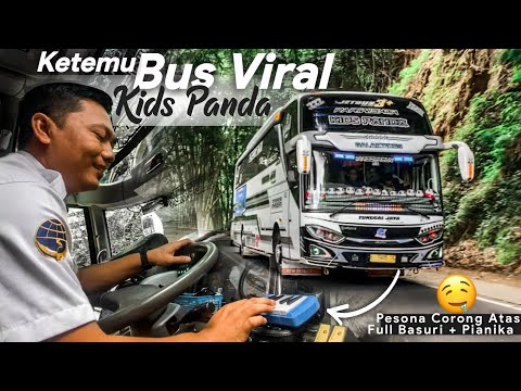 TERNYATA INI YANG BIKIN TENAR !?? KIDS PANDA KALI INI BUNYIKAN SEMUA NADA TELOLET NYA