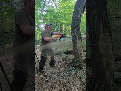 Professional Homeowner Hack 015 #shorts