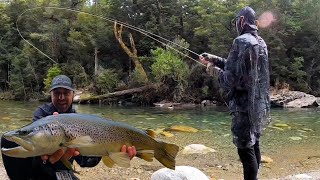 I’m Giving Up Hiking, Helicopters Won: Epic NZ Dry Fly Fishing