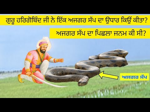 ਗੁਰੂ ਹਰਿਗੋਬਿੰਦ ਜੀ ਨੇ ਇੱਕ ਅਜਗਰ ਸੱਪ ਦਾ ਉਧਾਰ ਕਿਉਂ ਕੀਤਾ?ਇਹ ਸੱਪ ਪਿਛਲੇ ਜਨਮ ਵਿੱਚ ਕੀ ਸੀ?