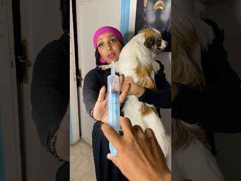 اخد التطعيم مكان الكلب