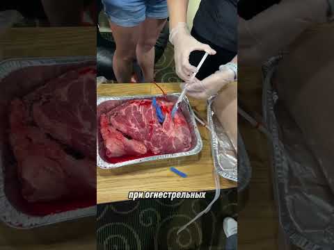 Боевая медицина