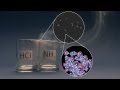 Understanding Ammonia and Hydrogen Chloride Reactions