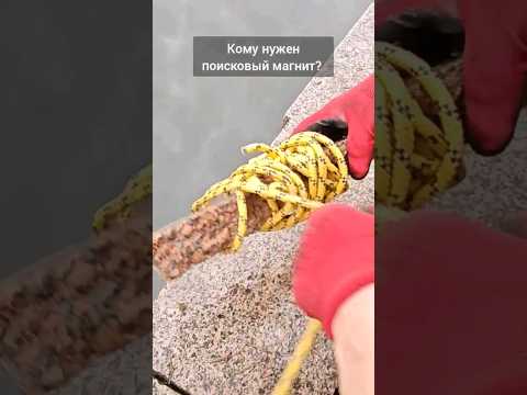 Кому нужен почти новый поисковый магнит?   Оставил на Патриках. #эксперимент #diy