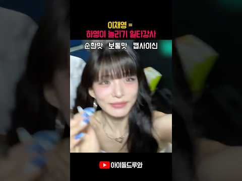 이채영 = 하영이 놀리기 일타강사