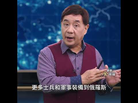 澤連斯基表示支持敘利亞人民，烏克蘭已做好提供糧食供應的準備｜ #時事金掃描 #金然