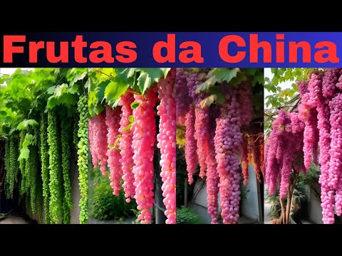 FRUTAS da CHINA: você não viu nada igual!