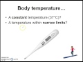 Homeostasis and Enzyme Function in Biology