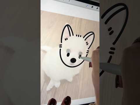 家族が増えました🐶✨
