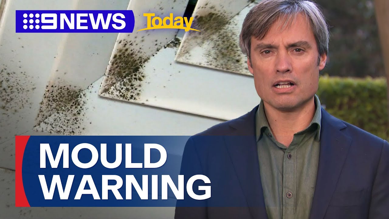Toxic mould affecting Australian households after record rainfall | 9 News Australia