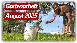 Gartenarbeit August | Probleme, Pfirsiche, Pilzkrankheiten, Gemüsegarten mit Hochbeeten
