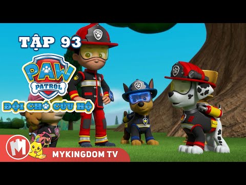 ĐỘI CHÓ CỨU HỘ PAW PATROL MINI | Tập 93 | Phim hoạt hình