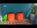 Meristematic Cells and Plant Growth