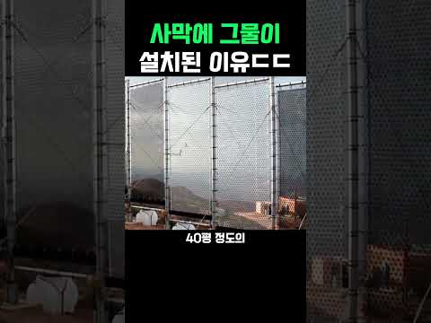 그물
