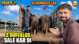 Alhumdulillah Aj 2 Buffalos Sale Kar Di 😍 Kitna Profit Howa 🤔 | بھوری تے کالی مج گئی آج