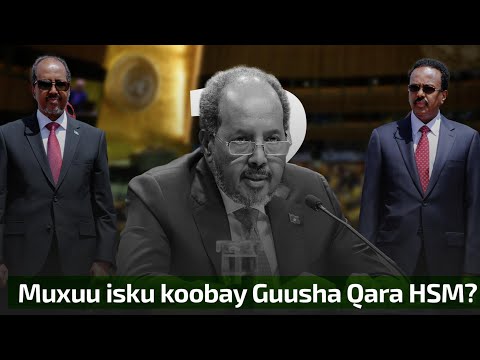 Xassan Sh: MW guulaha aan cid kale u ogoleyn, guuldaradana kacararaya & Farmaajo oo kaga fiicnaa