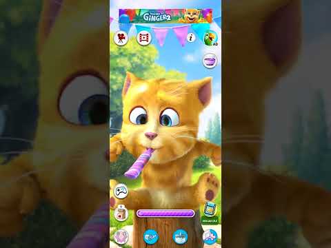 Talking Ginger 5🏵🏵💐🏵💐🦂🕷🦂🪳🦟🪳🪰🥀🪳🐋🦕🐋🦕🐋🦕🐢🦜🐊🦚🐊🐳🦕🐙🐡🐙🐡🐛#shorts