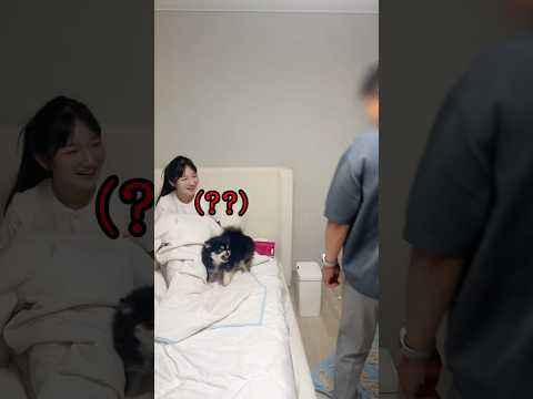 아빠 몰래 강아지 데려왔을때 반응ㅋㅋㅋㅋㅋㅋ