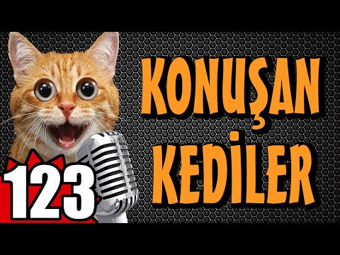 Konuşan Kediler 123 - En Komik Kedi Videoları