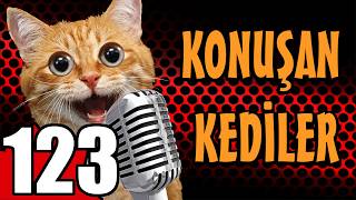 Konuşan Kediler 123 - En Komik Kedi Videoları