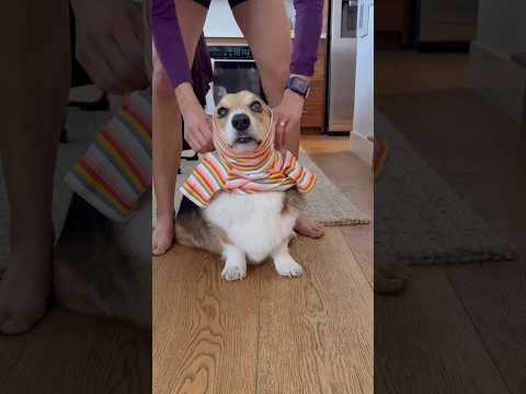 Brady wants to know if you think he looks cute